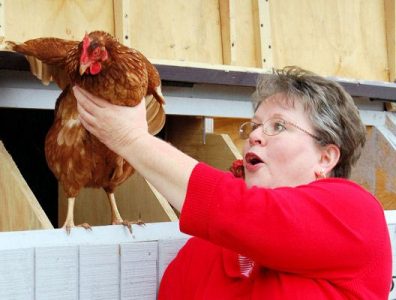 Missouri Living: An Introduction Image